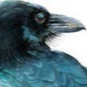 Meet your Posher, Rook